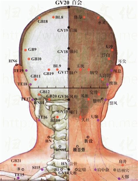 啞門穴位置|啞門